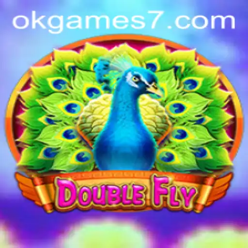 An In-Depth Look at DoubleFly: The Exciting Game from okgames